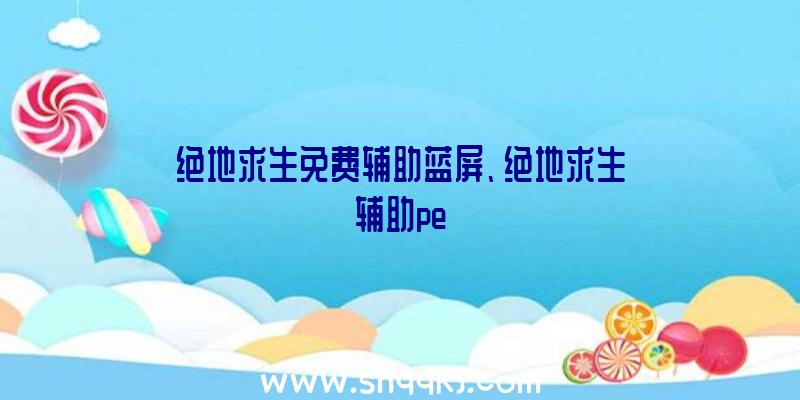 绝地求生免费辅助蓝屏、绝地求生辅助pe