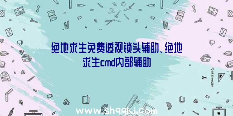 绝地求生免费透视锁头辅助、绝地求生cmd内部辅助