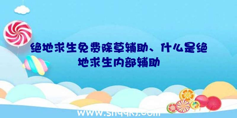 绝地求生免费除草辅助、什么是绝地求生内部辅助