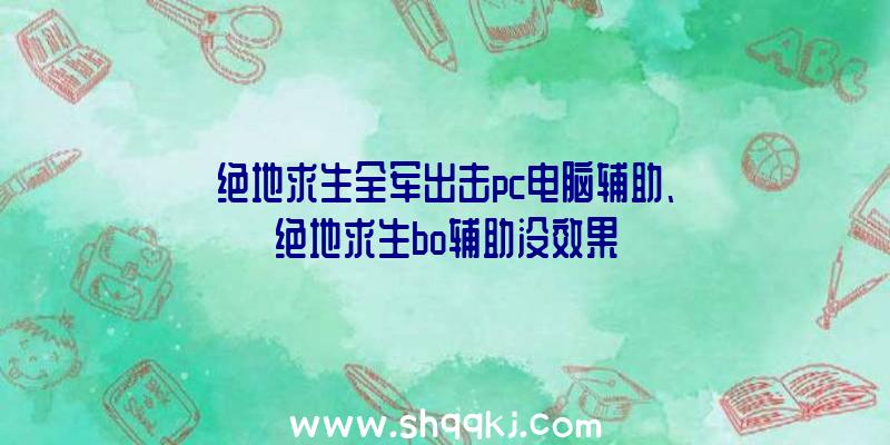 绝地求生全军出击pc电脑辅助、绝地求生bo辅助没效果