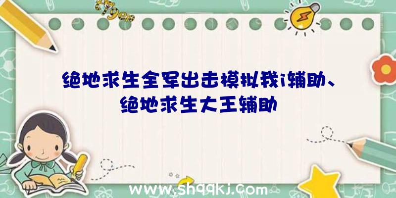 绝地求生全军出击模拟我i辅助、绝地求生大王辅助