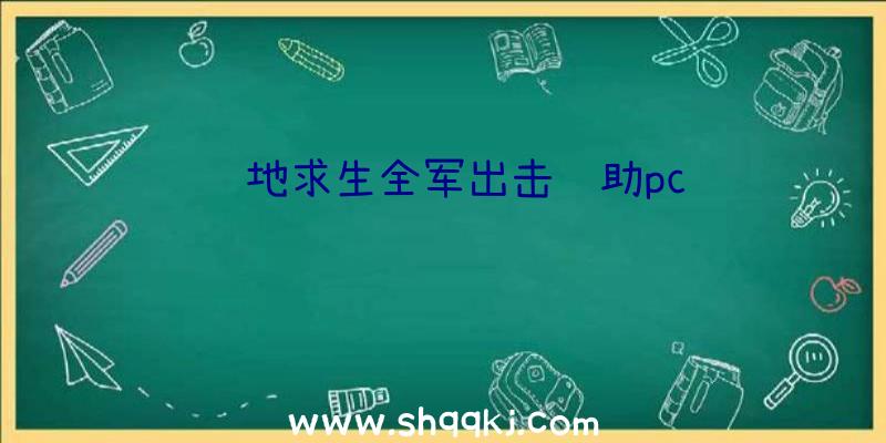 绝地求生全军出击辅助pc