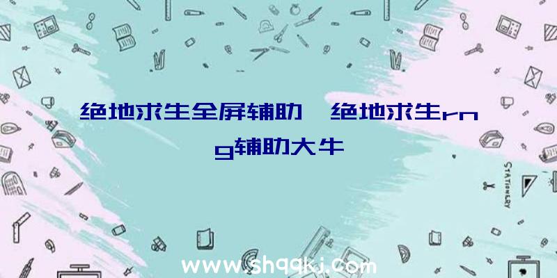 绝地求生全屏辅助、绝地求生rng辅助大牛