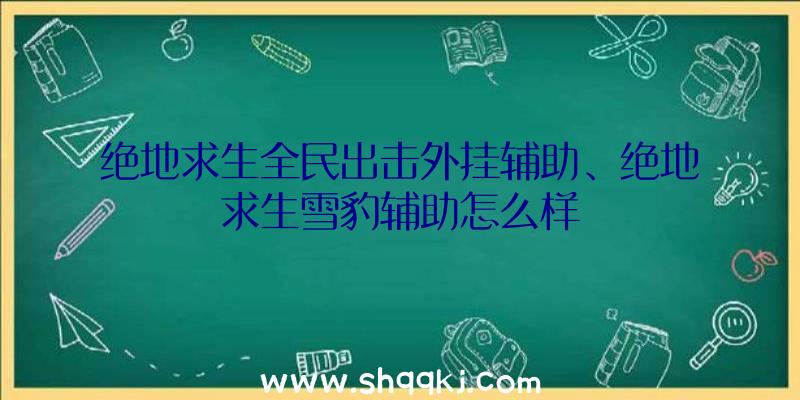 绝地求生全民出击外挂辅助、绝地求生雪豹辅助怎么样