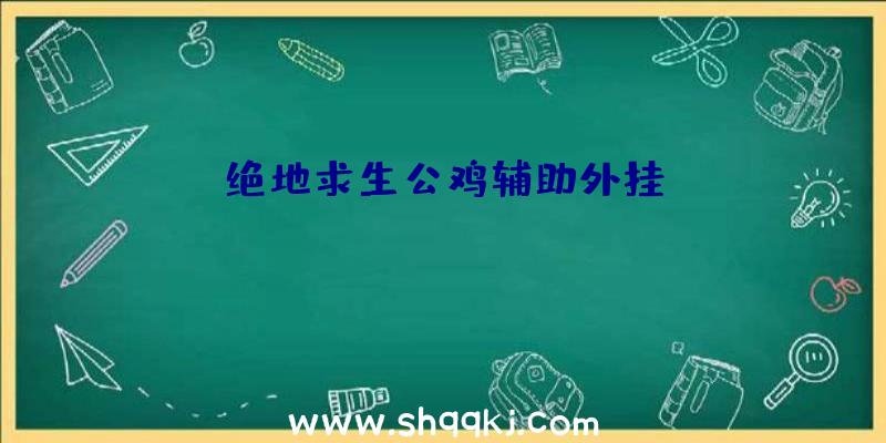 绝地求生公鸡辅助外挂