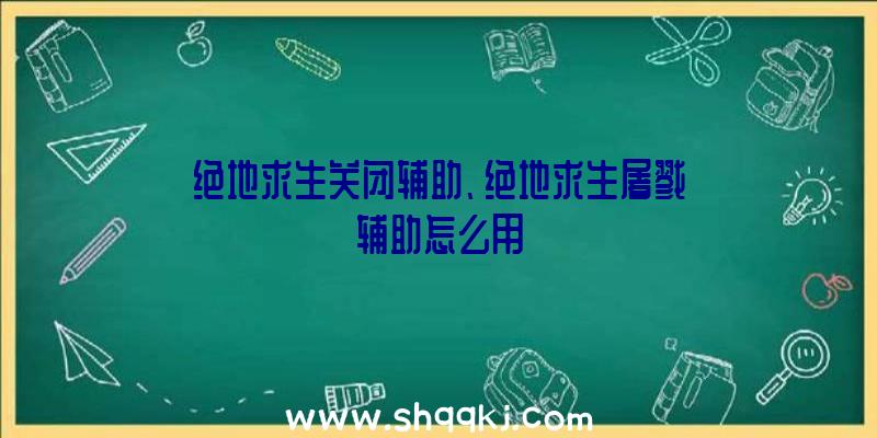 绝地求生关闭辅助、绝地求生屠戮辅助怎么用