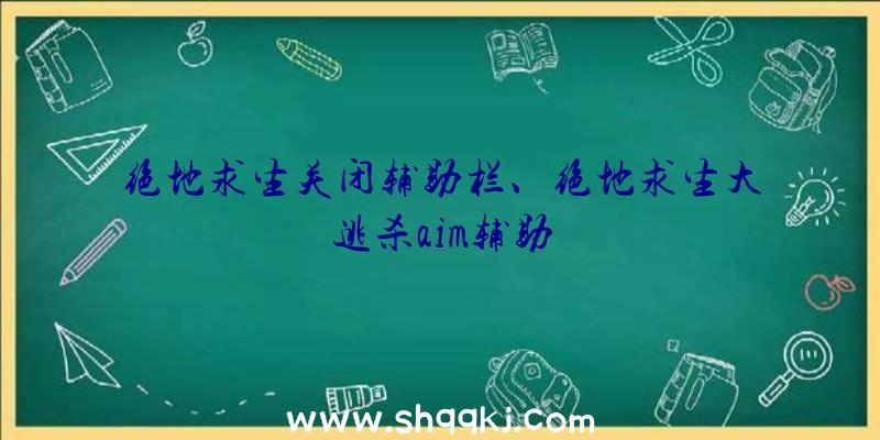 绝地求生关闭辅助栏、绝地求生大逃杀aim辅助