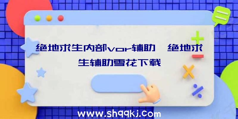 绝地求生内部vor辅助、绝地求生辅助雪花下载