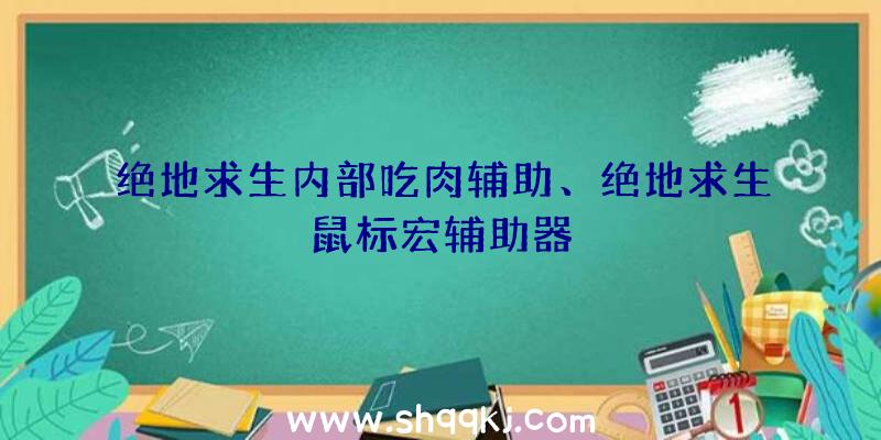 绝地求生内部吃肉辅助、绝地求生鼠标宏辅助器