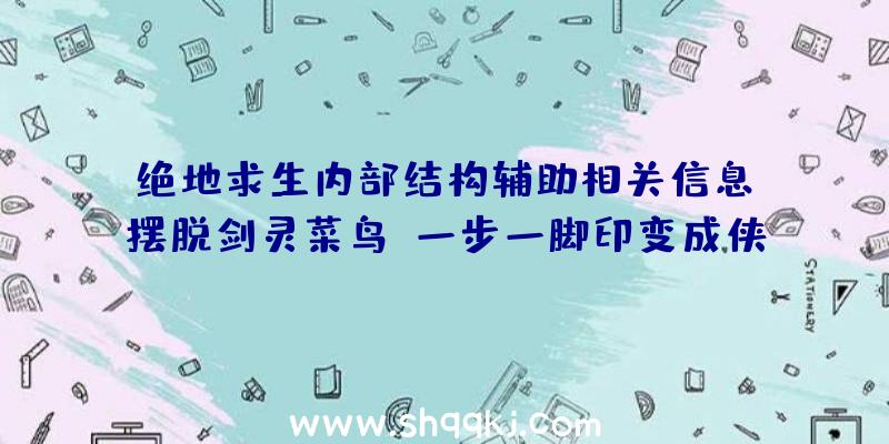 绝地求生内部结构辅助相关信息：摆脱剑灵菜鸟，一步一脚印变成侠客