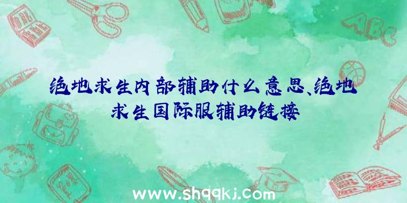 绝地求生内部辅助什么意思、绝地求生国际服辅助链接