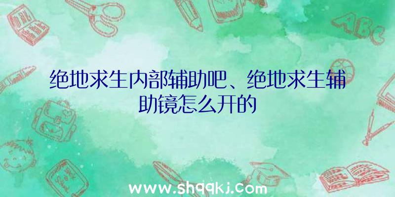 绝地求生内部辅助吧、绝地求生辅助镜怎么开的