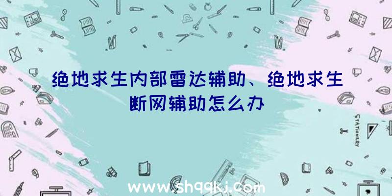 绝地求生内部雷达辅助、绝地求生断网辅助怎么办