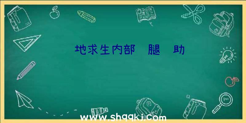 绝地求生内部鸡腿辅助