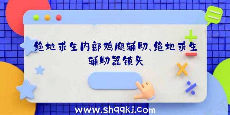 绝地求生内部鸡腿辅助、绝地求生辅助器锁头