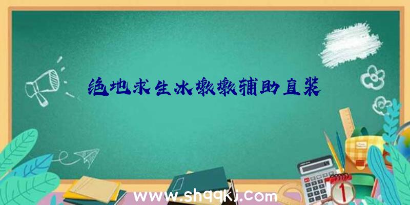 绝地求生冰墩墩辅助直装