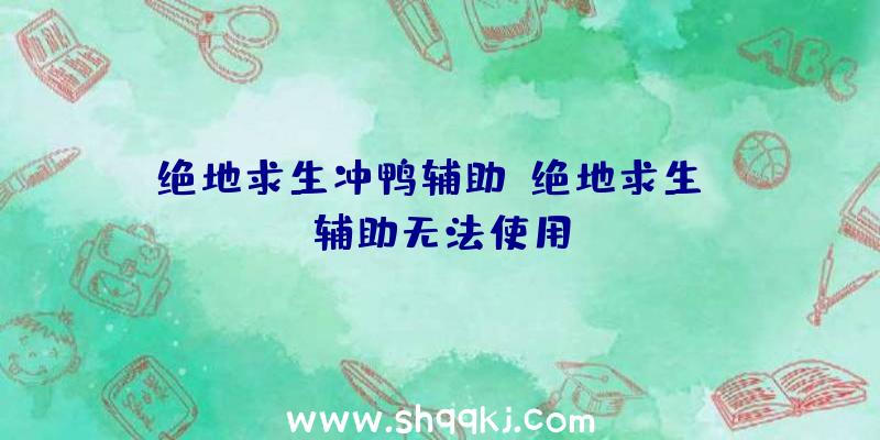 绝地求生冲鸭辅助、绝地求生tt辅助无法使用