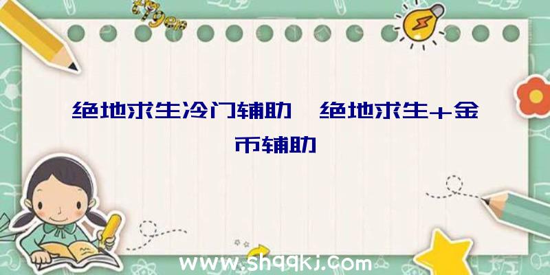 绝地求生冷门辅助、绝地求生+金币辅助