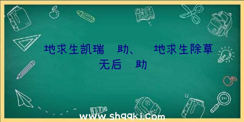 绝地求生凯瑞辅助、绝地求生除草无后辅助