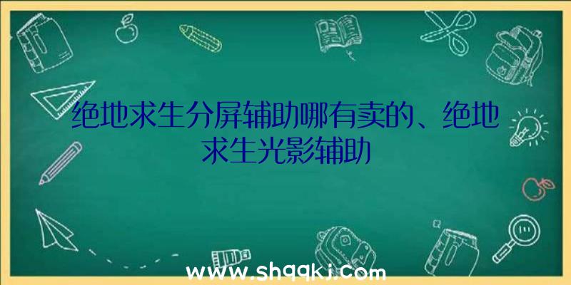 绝地求生分屏辅助哪有卖的、绝地求生光影辅助