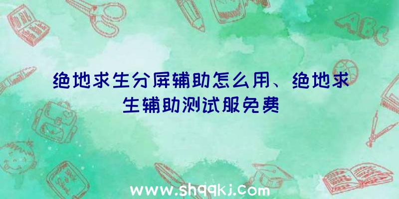 绝地求生分屏辅助怎么用、绝地求生辅助测试服免费