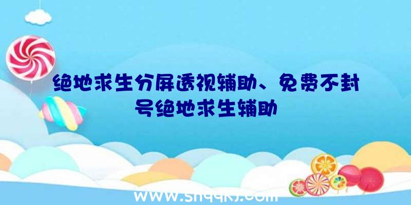 绝地求生分屏透视辅助、免费不封号绝地求生辅助