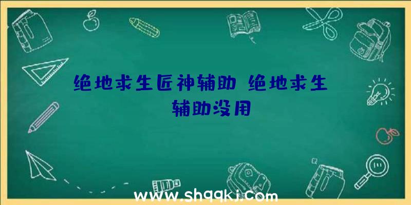 绝地求生匠神辅助、绝地求生skt辅助没用