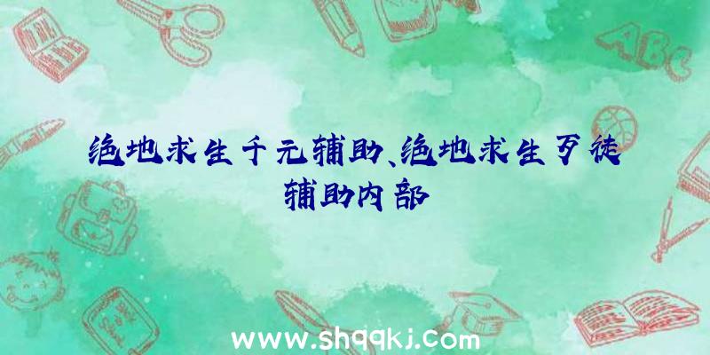 绝地求生千元辅助、绝地求生歹徒辅助内部