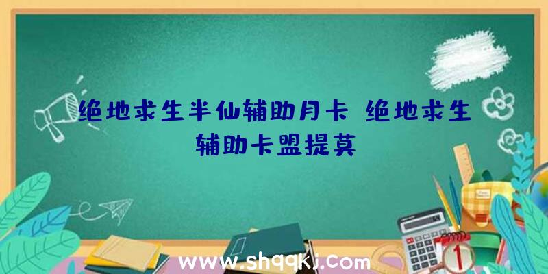 绝地求生半仙辅助月卡、绝地求生辅助卡盟提莫