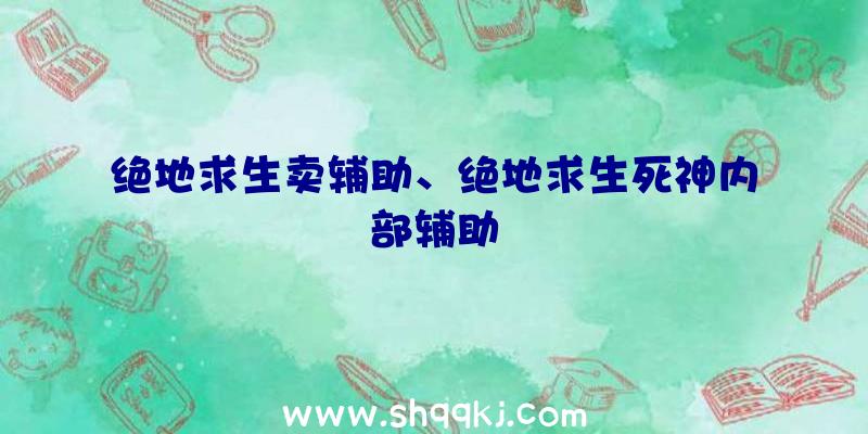 绝地求生卖辅助、绝地求生死神内部辅助