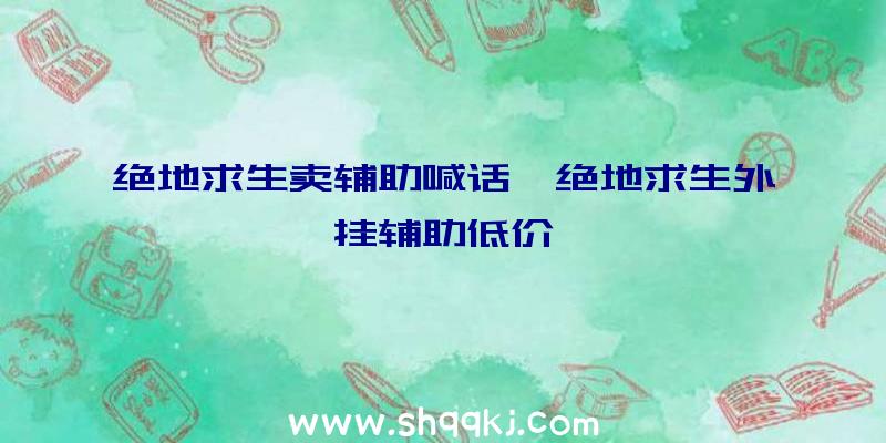 绝地求生卖辅助喊话、绝地求生外挂辅助低价