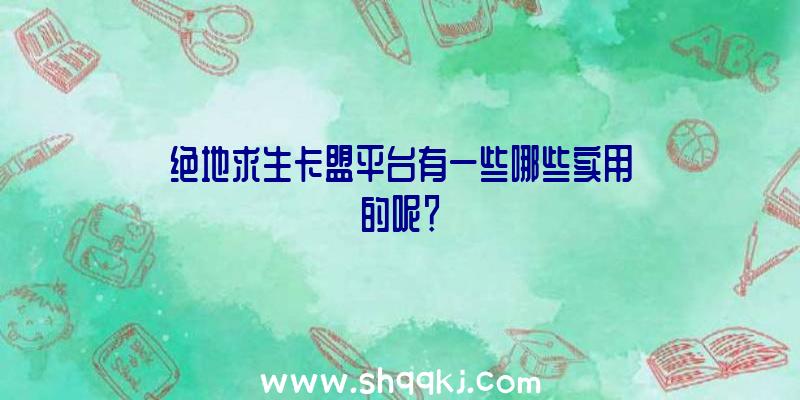 绝地求生卡盟平台有一些哪些实用的呢？