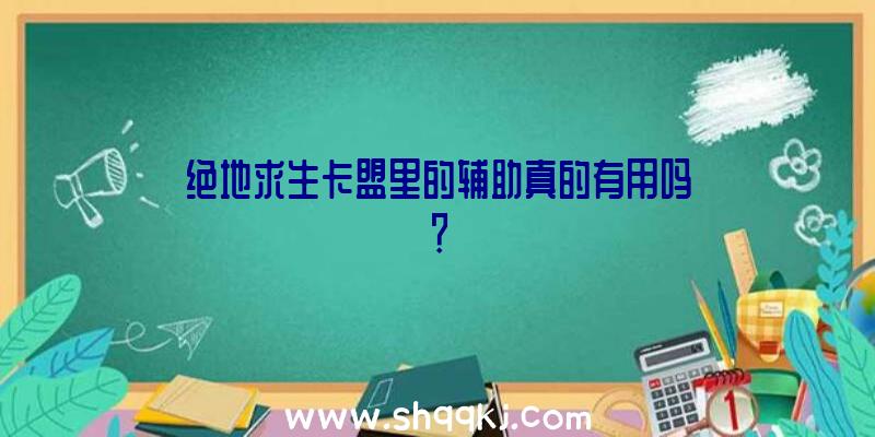 绝地求生卡盟里的辅助真的有用吗？