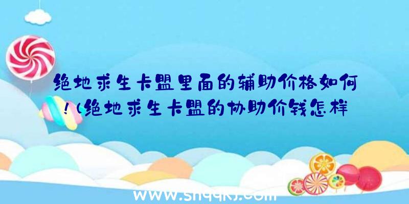 绝地求生卡盟里面的辅助价格如何！（绝地求生卡盟的协助价钱怎样）