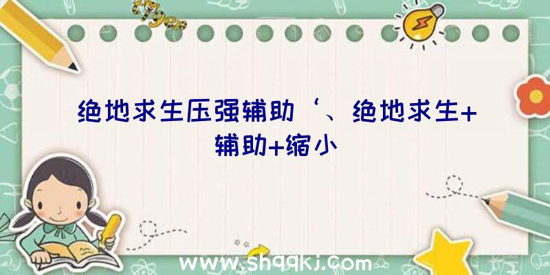 绝地求生压强辅助‘、绝地求生+辅助+缩小