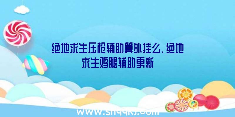 绝地求生压枪辅助算外挂么、绝地求生鸡腿辅助更新