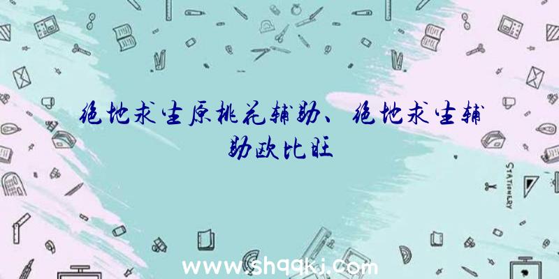 绝地求生原桃花辅助、绝地求生辅助欧比旺