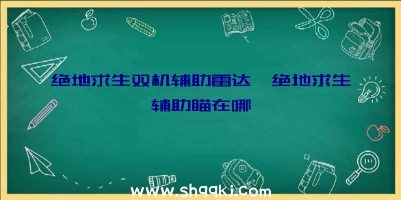 绝地求生双机辅助雷达、绝地求生辅助瞄在哪