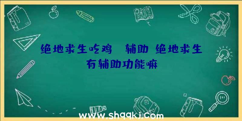 绝地求生吃鸡ez辅助、绝地求生有辅助功能嘛