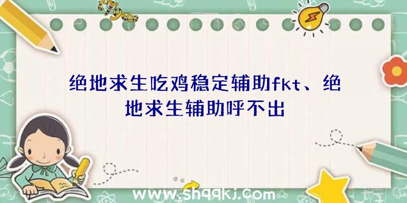 绝地求生吃鸡稳定辅助fkt、绝地求生辅助呼不出