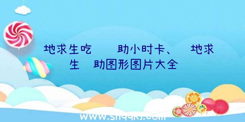 绝地求生吃鸡辅助小时卡、绝地求生辅助图形图片大全