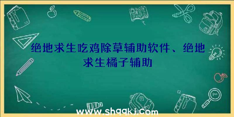 绝地求生吃鸡除草辅助软件、绝地求生橘子辅助