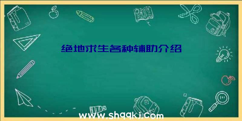 绝地求生各种辅助介绍