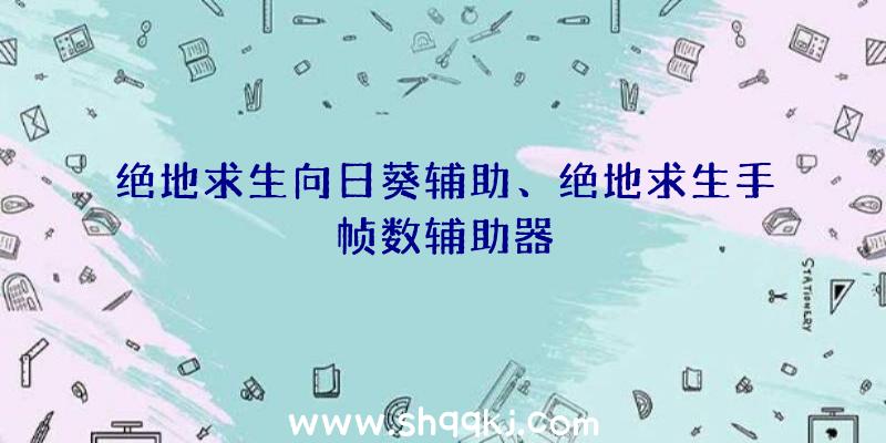 绝地求生向日葵辅助、绝地求生手帧数辅助器