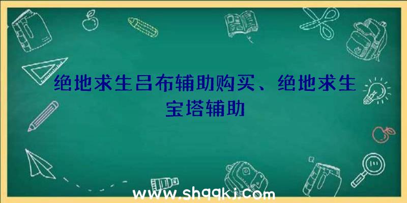 绝地求生吕布辅助购买、绝地求生宝塔辅助