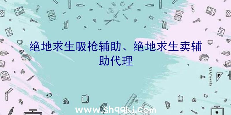 绝地求生吸枪辅助、绝地求生卖辅助代理