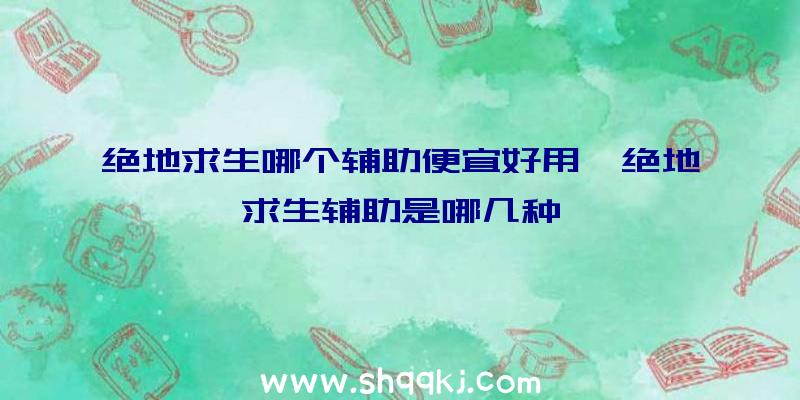 绝地求生哪个辅助便宜好用、绝地求生辅助是哪几种