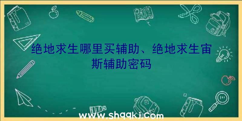 绝地求生哪里买辅助、绝地求生宙斯辅助密码