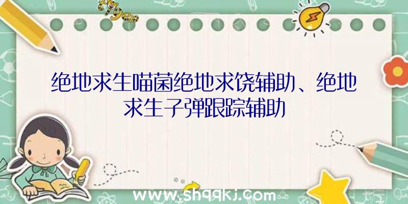 绝地求生喵菌绝地求饶辅助、绝地求生子弹跟踪辅助