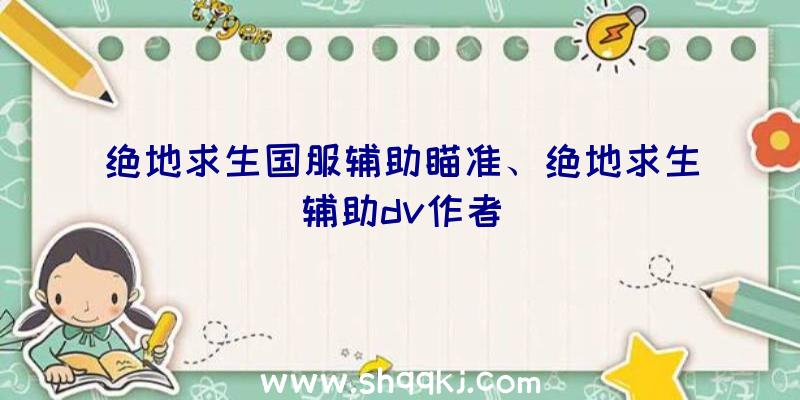 绝地求生国服辅助瞄准、绝地求生辅助dv作者